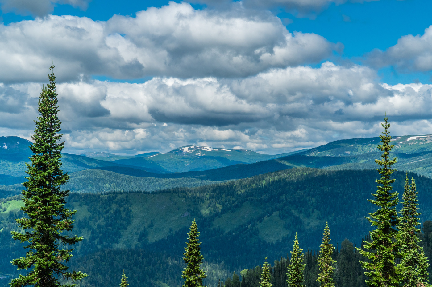 Поднебесные зубья