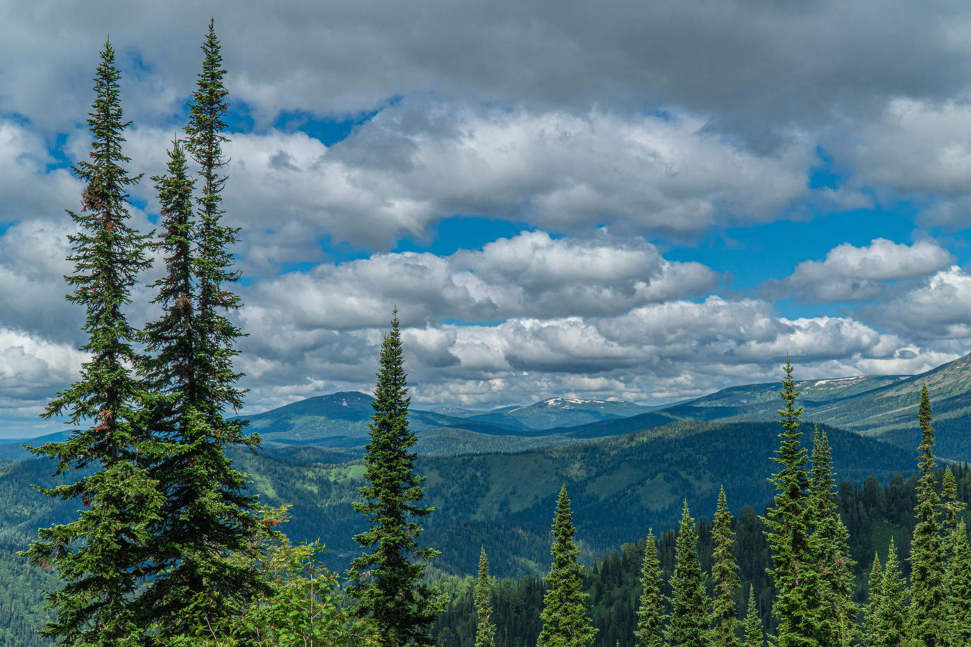 Поднебесные зубья