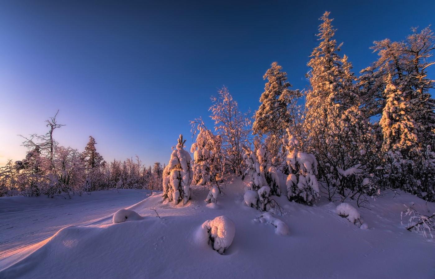 Утренние краски