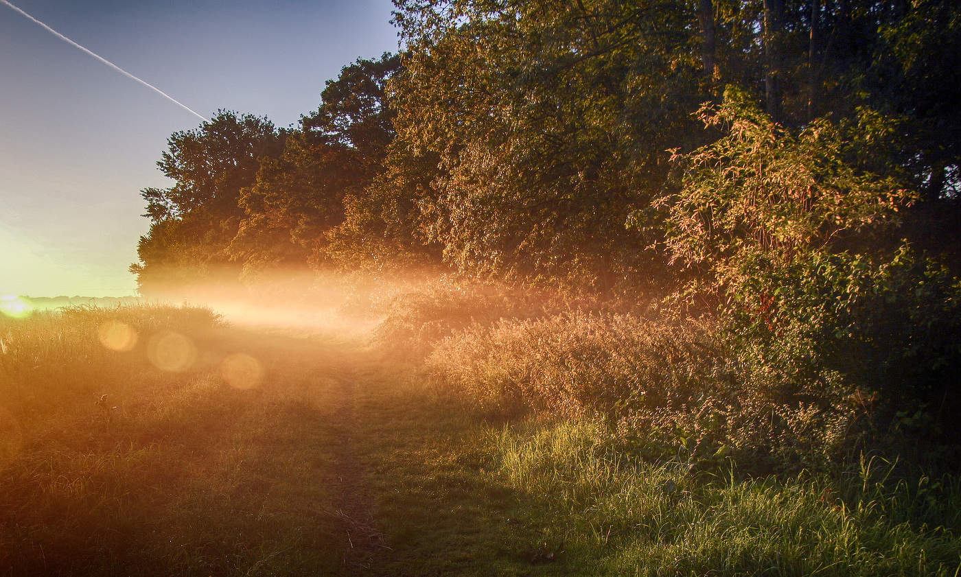 Поток света