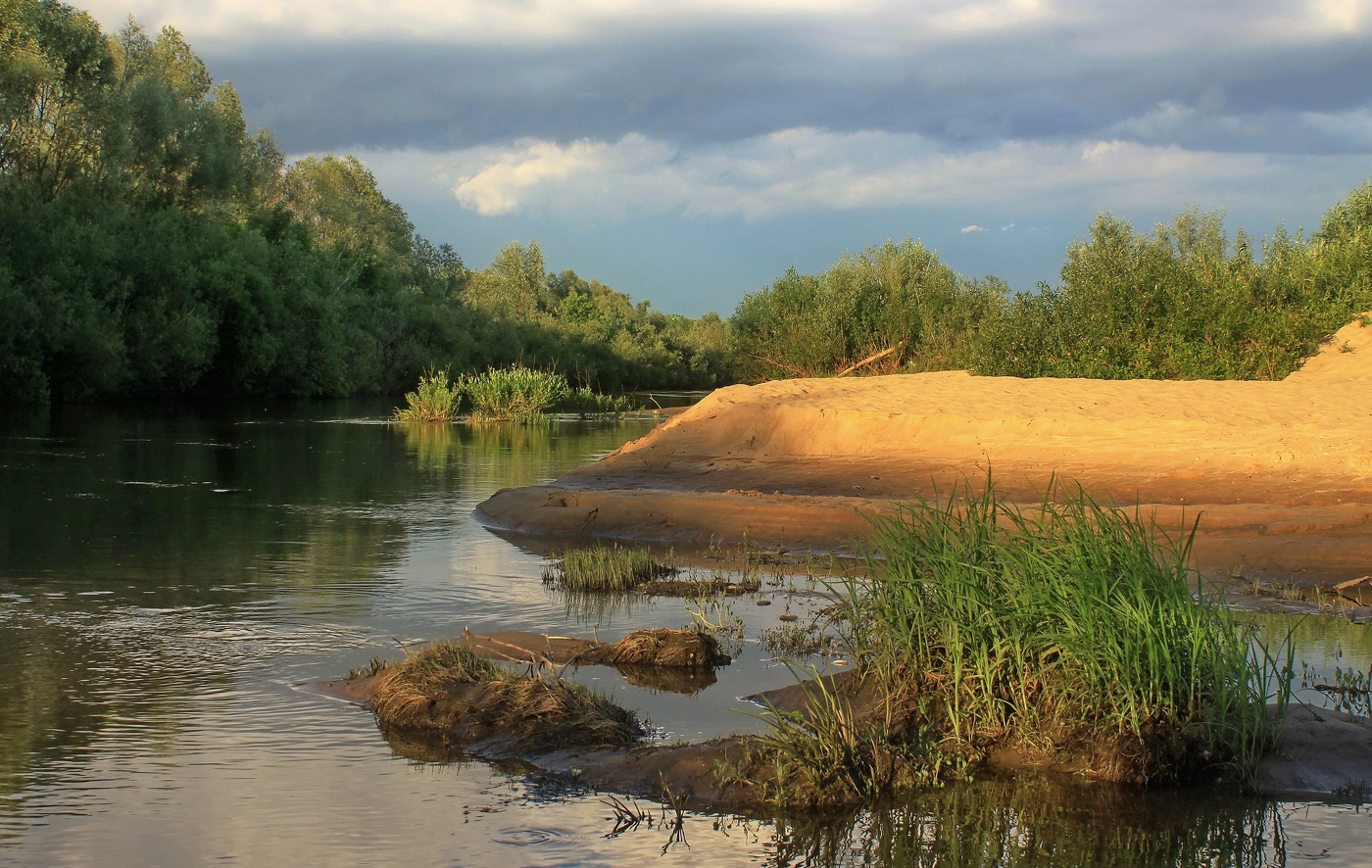 Протока Оки