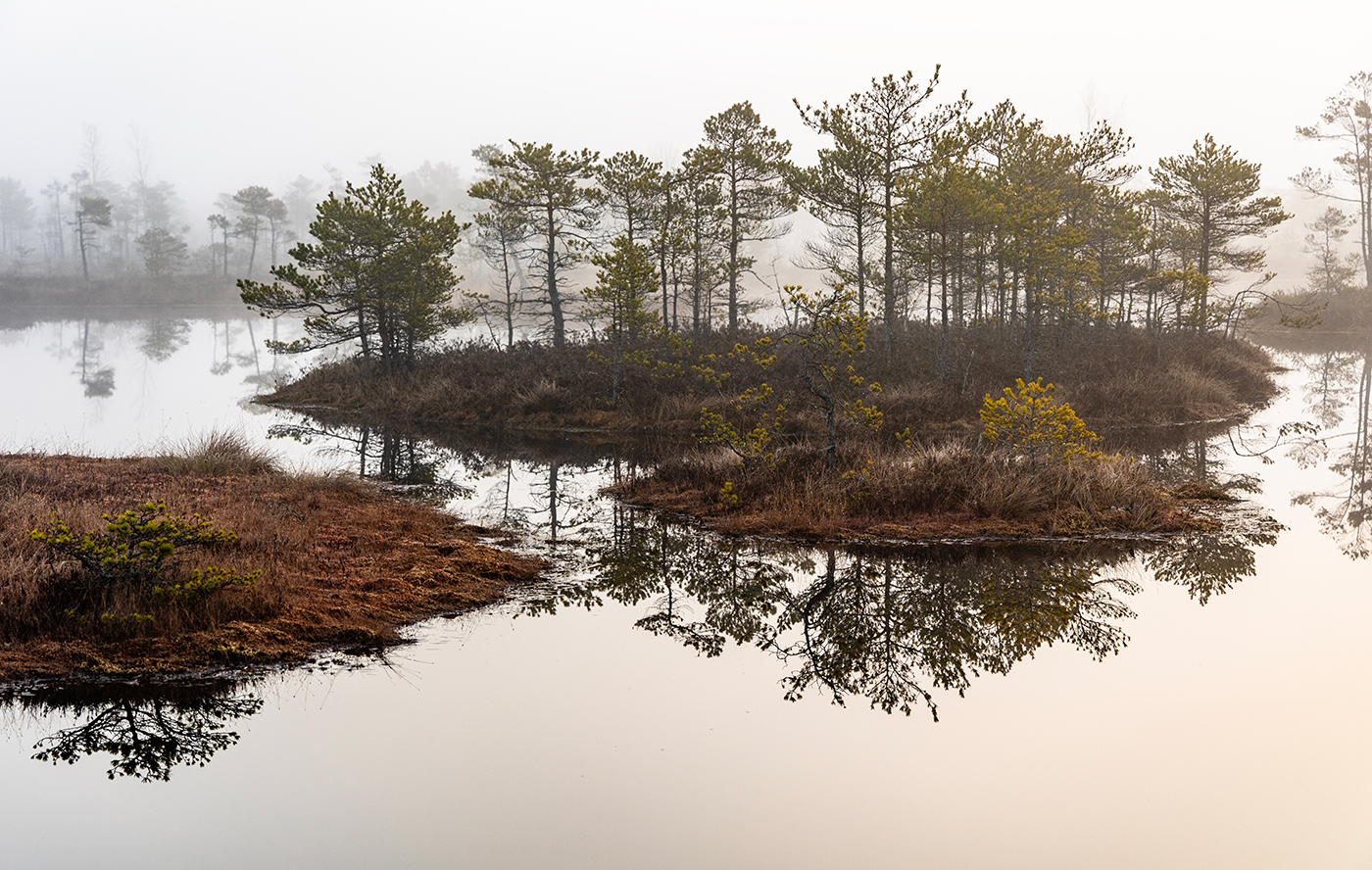 Весеннее подтопление