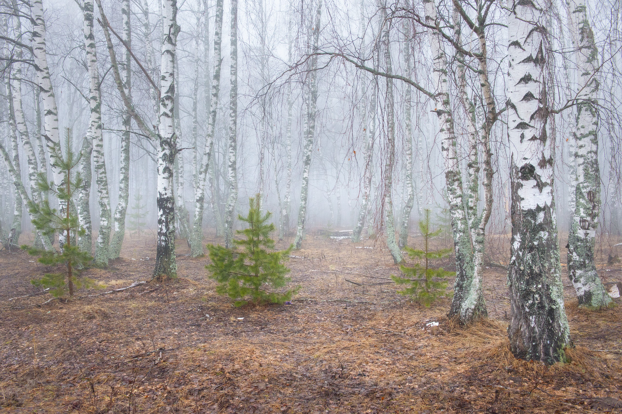 Теплое утро