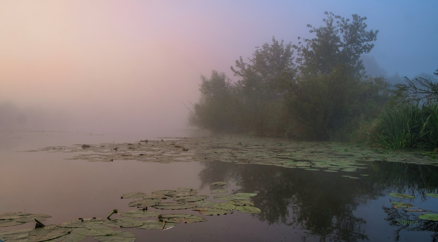 В начале осени.