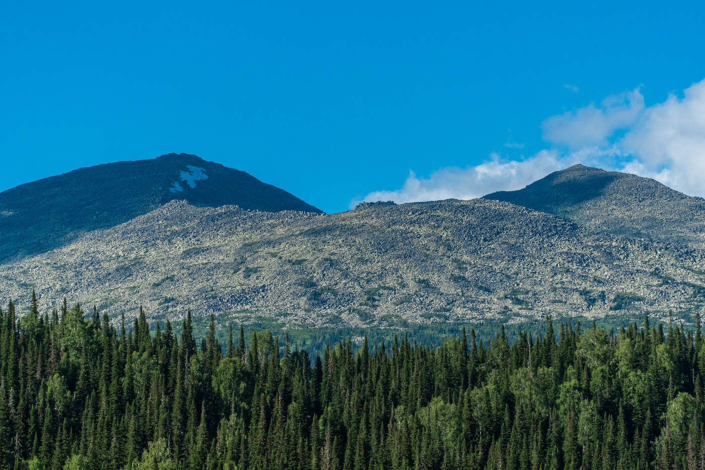 Поднебесные зубья