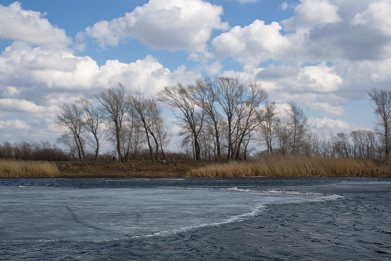 Весенние ветры