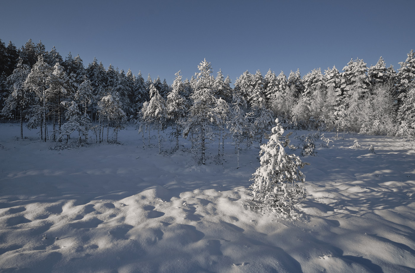 Берег озера "Глухое"