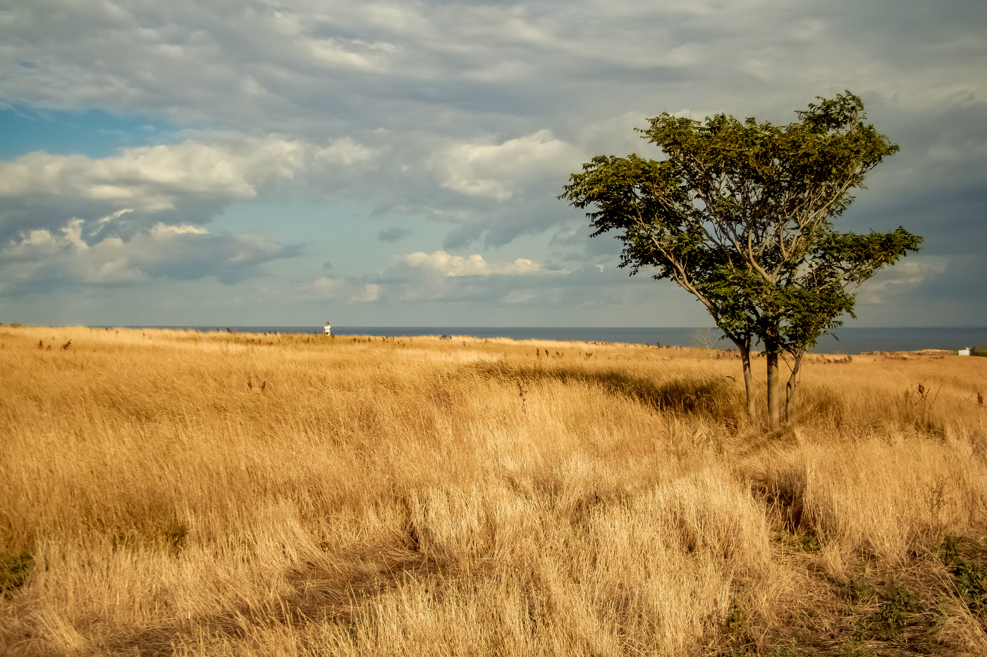 Один из дней уходящего лета