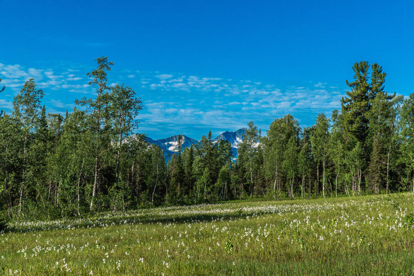 Поднебесные зубья