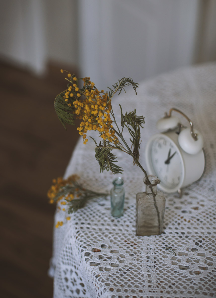 С мимозой...