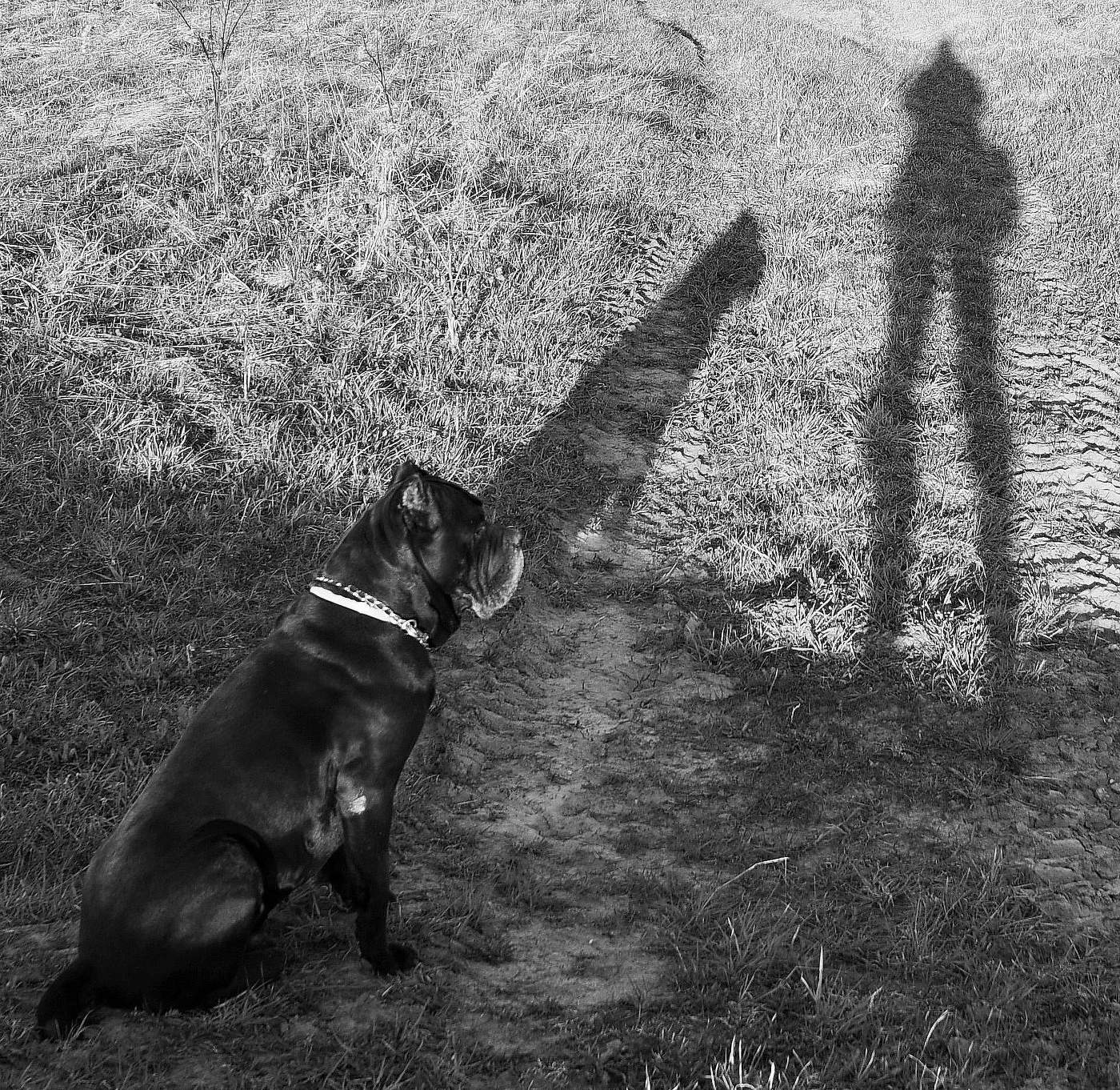 Охранник ...