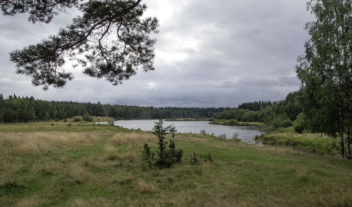 Хмурым днём...