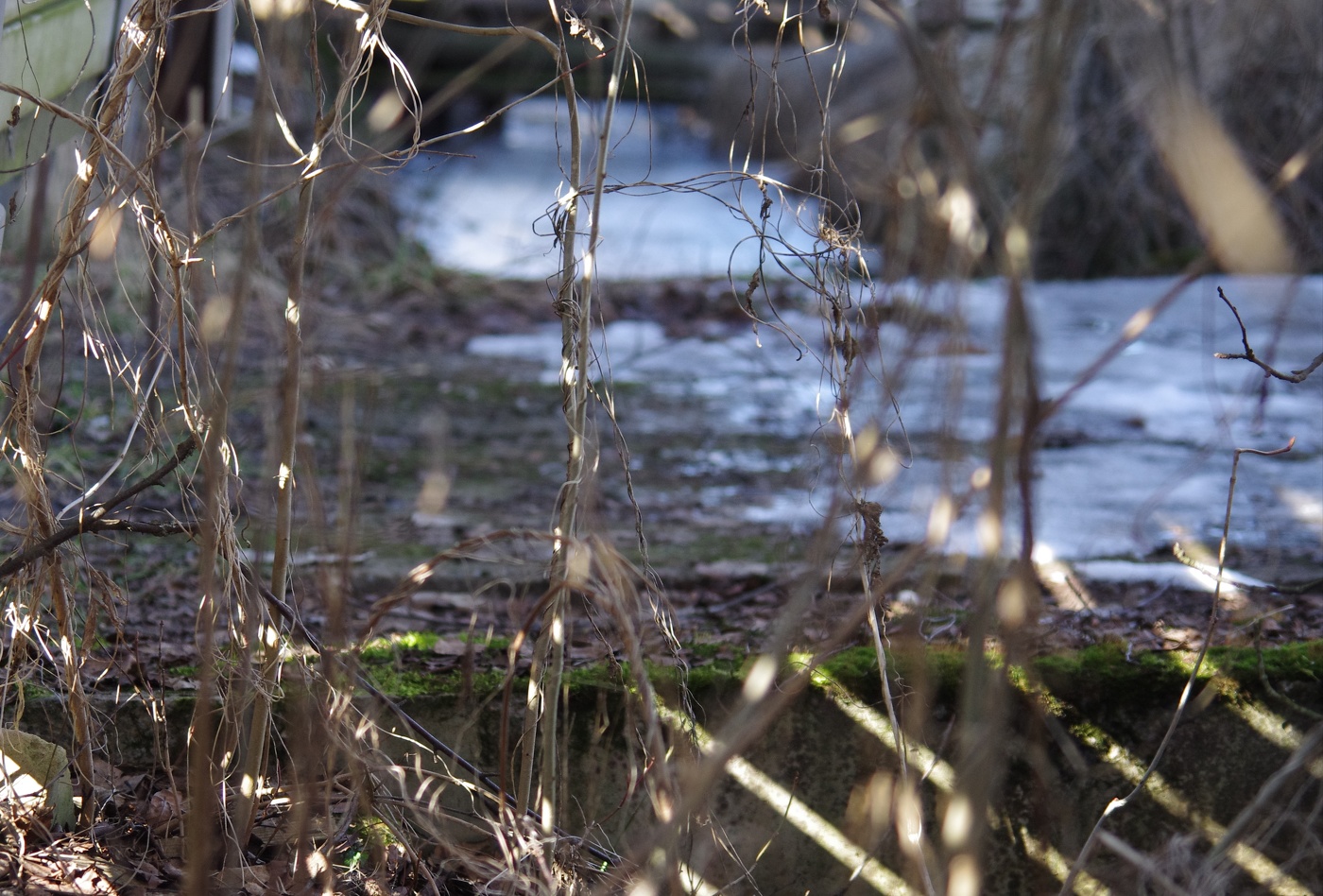 Солнечные лучи.