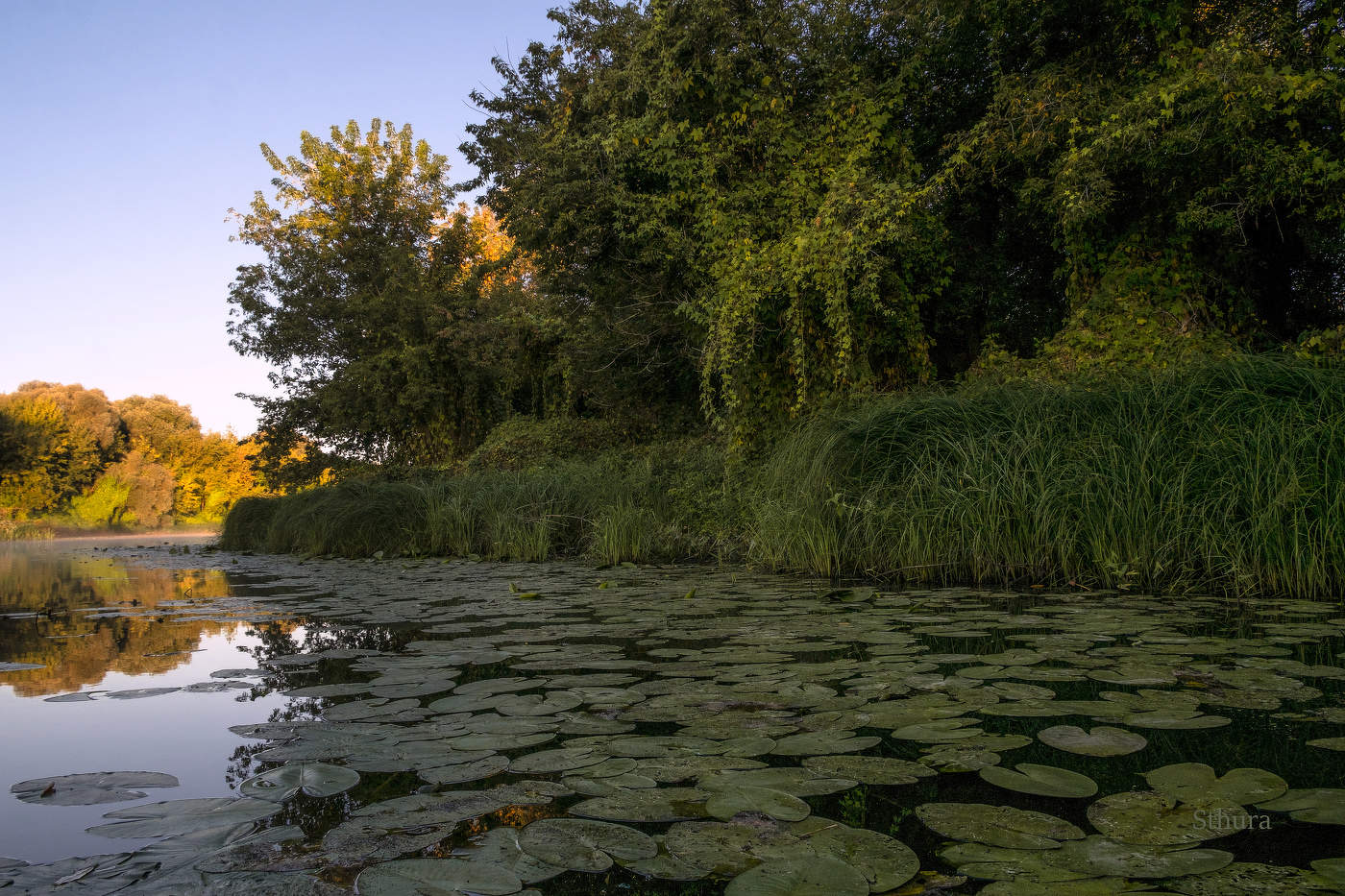 Осень в Проливе.