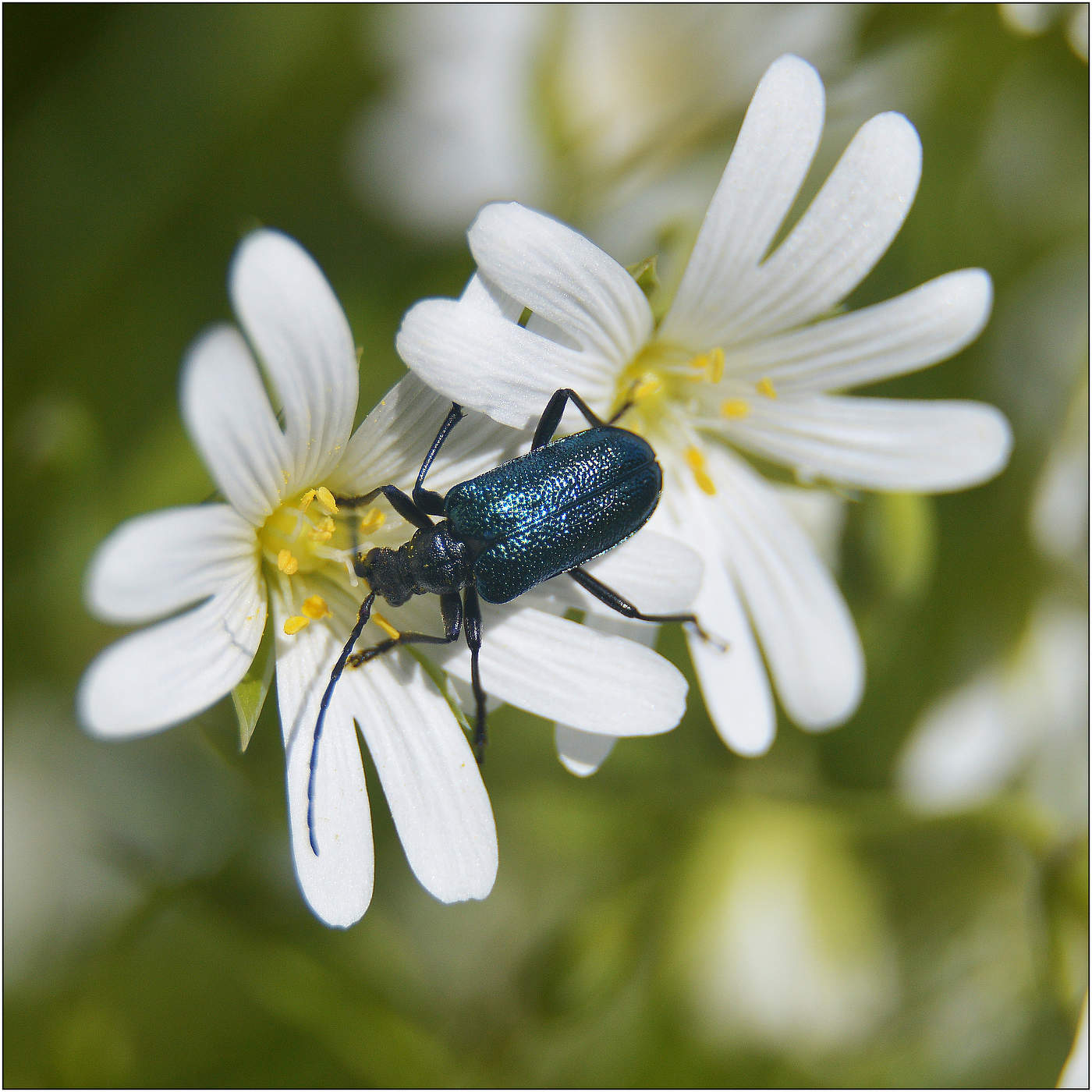 Весна. Солнце.