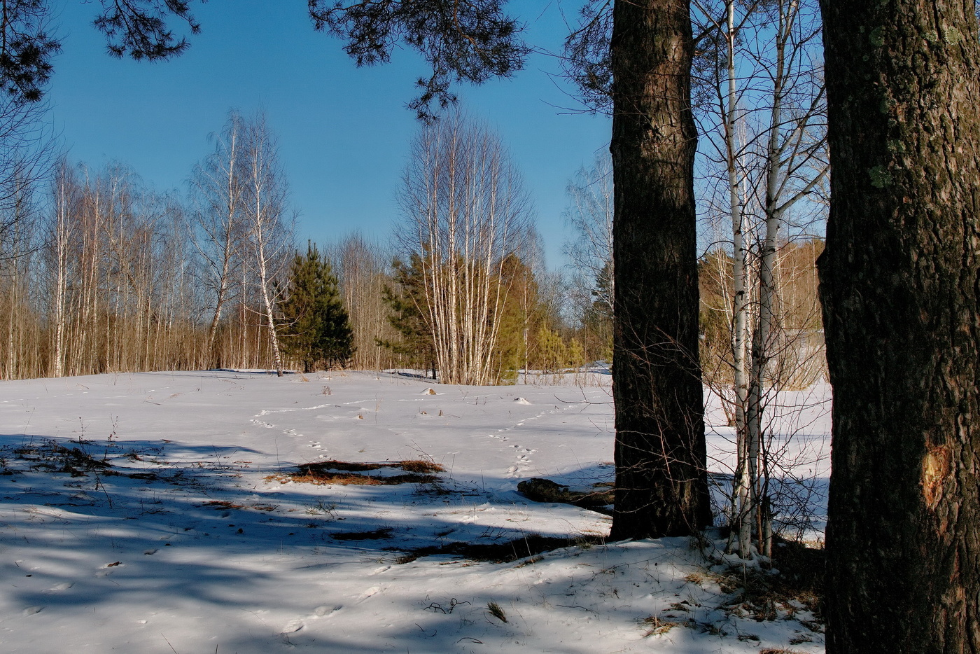 *Мартовским днём.**