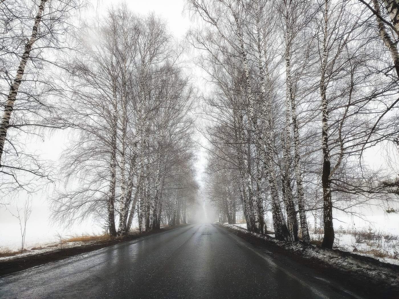 Дождливый март