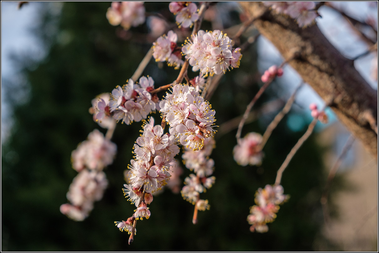 Пробуждение.