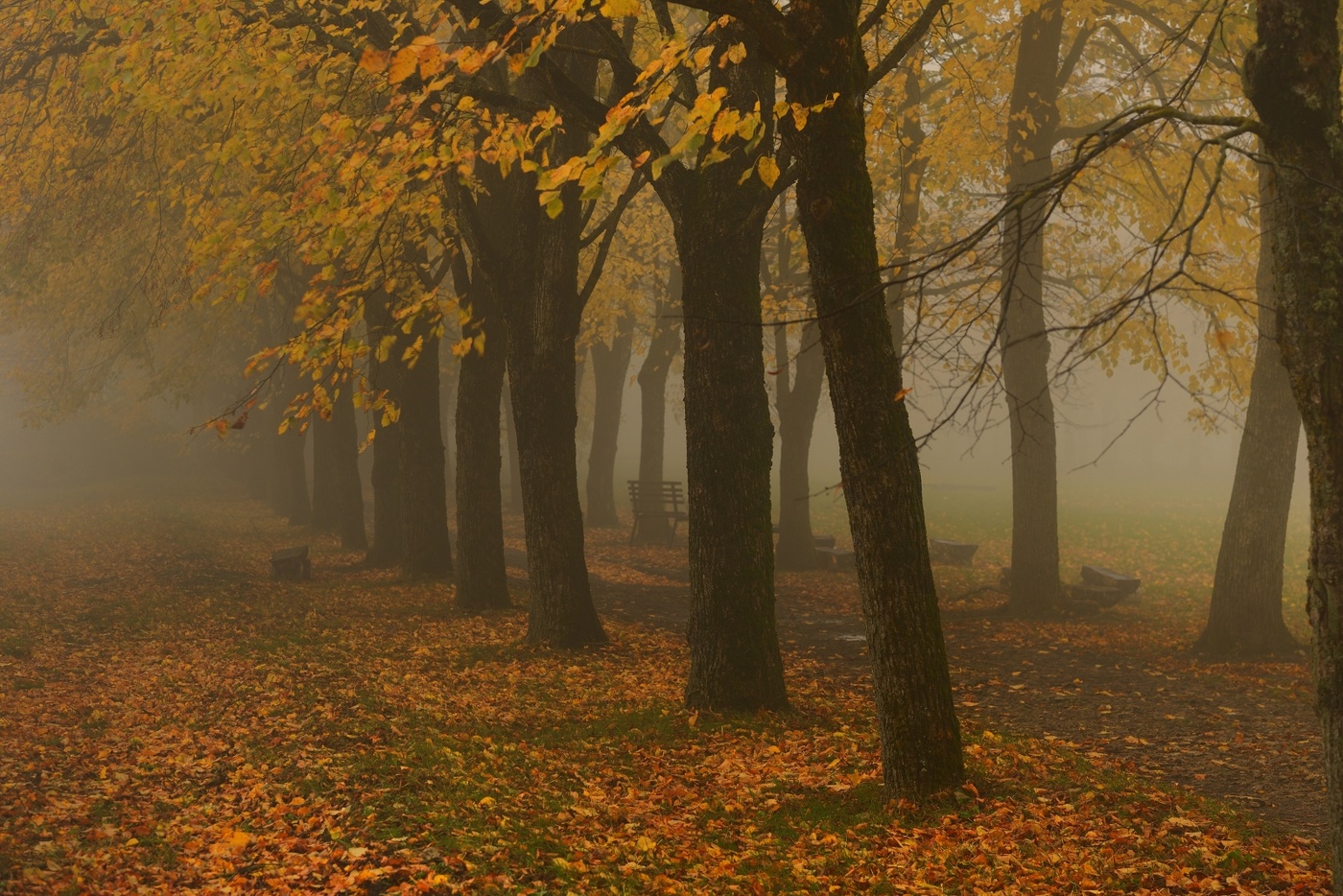 Осеннее утро