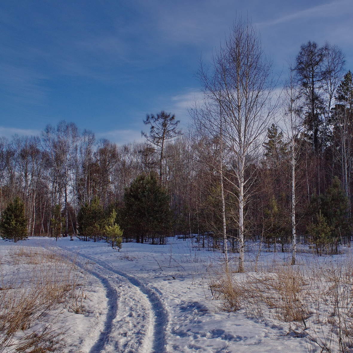 *Конец марта**