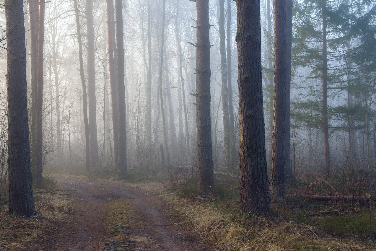 Погружение в надежду