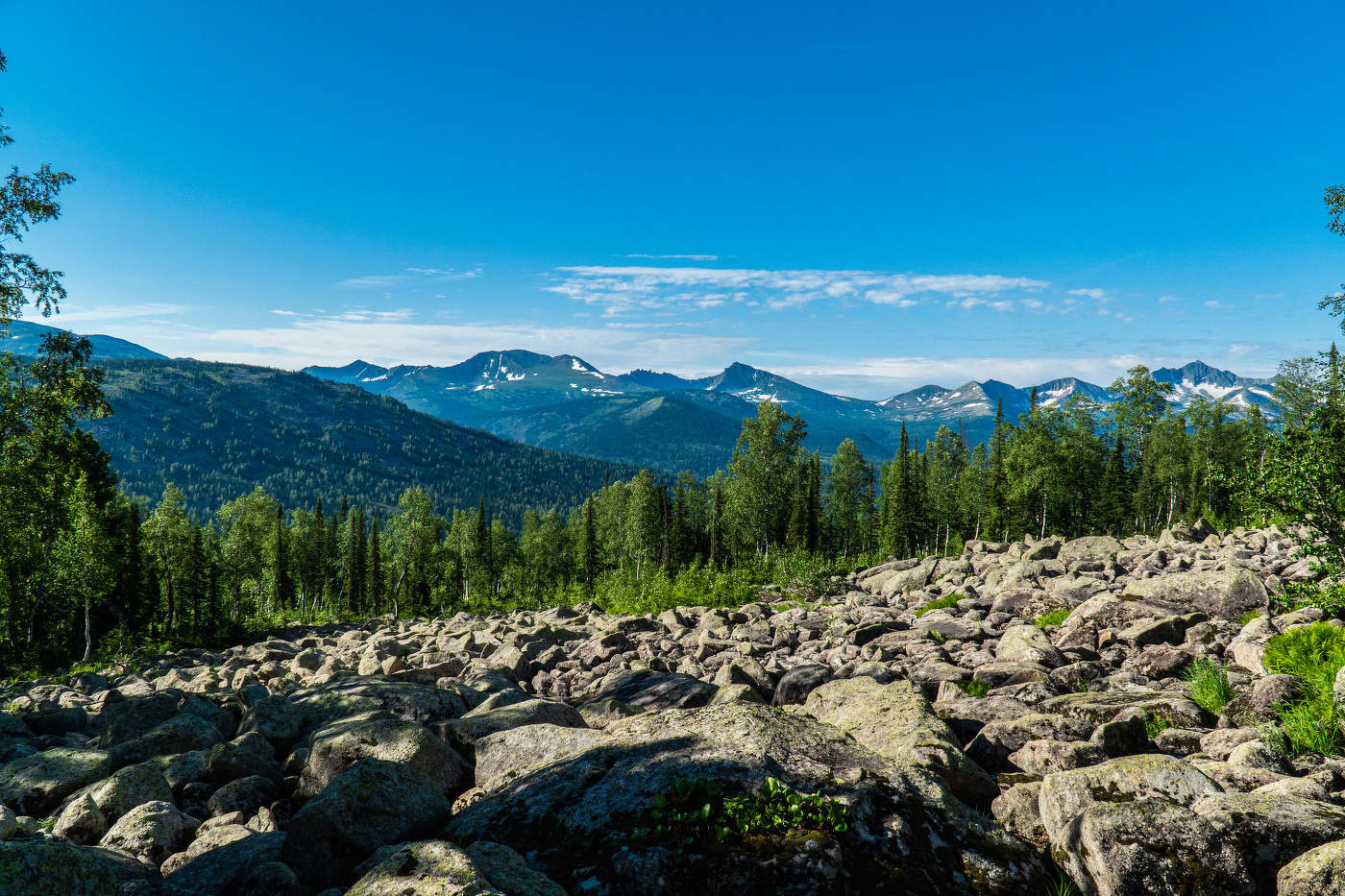 Поднебесные зубья