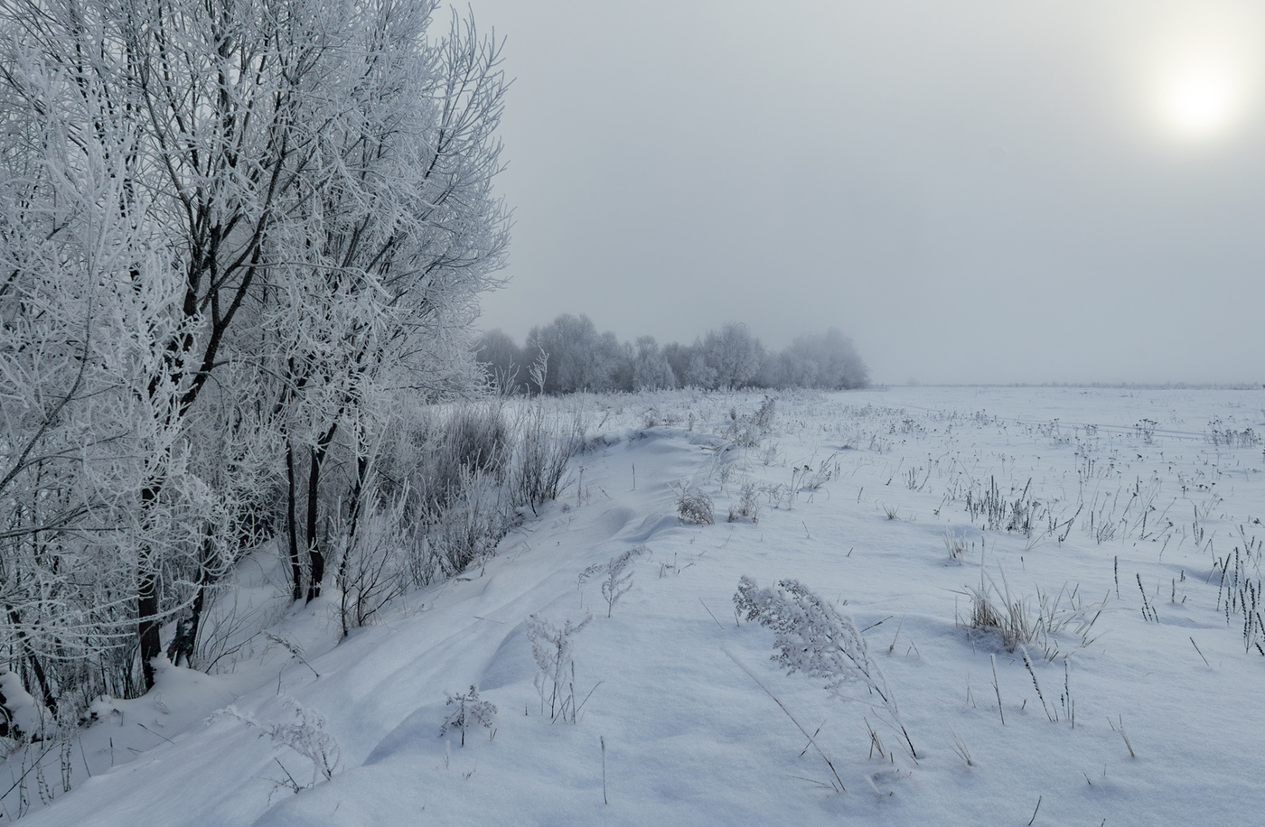 Вспоминая морозную зиму