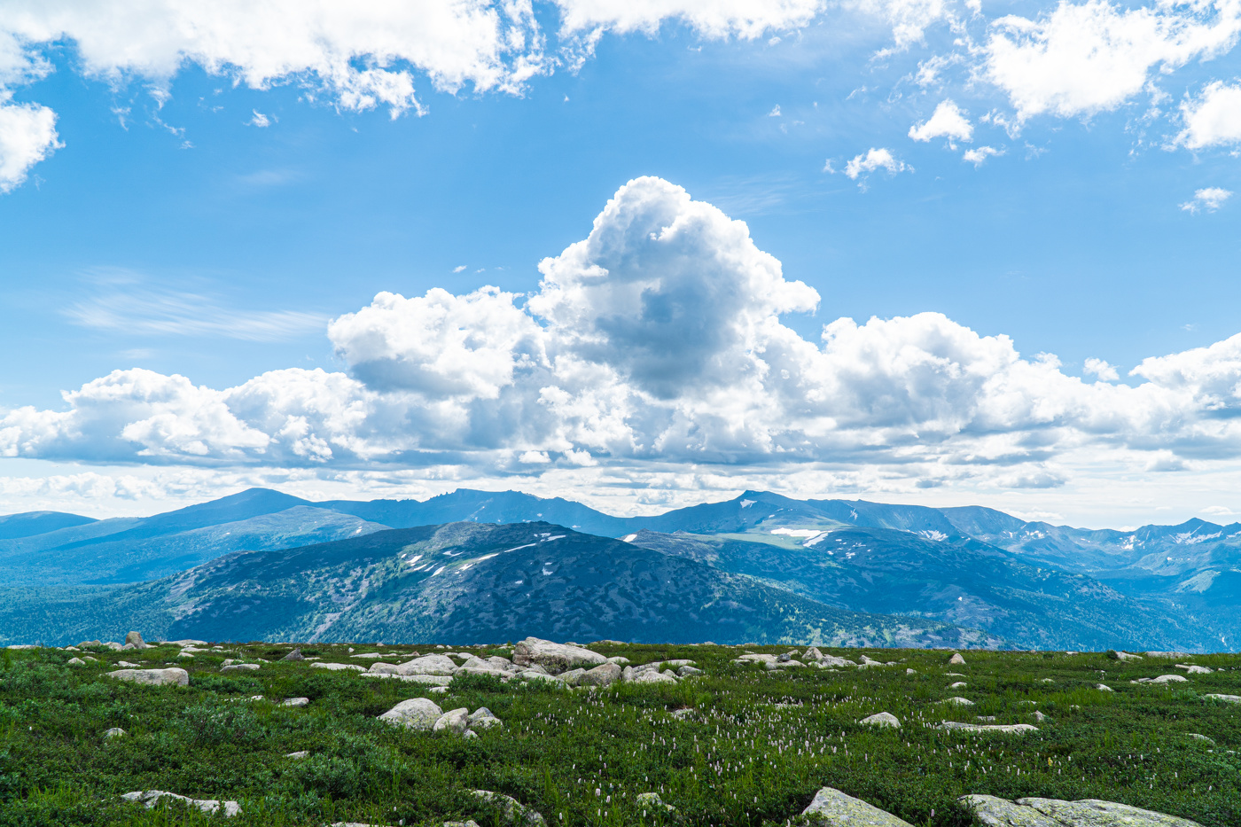 Поднебесные зубья