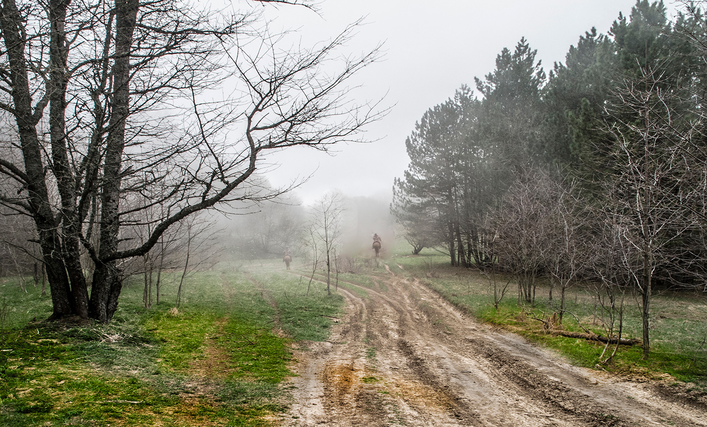 За развилкой