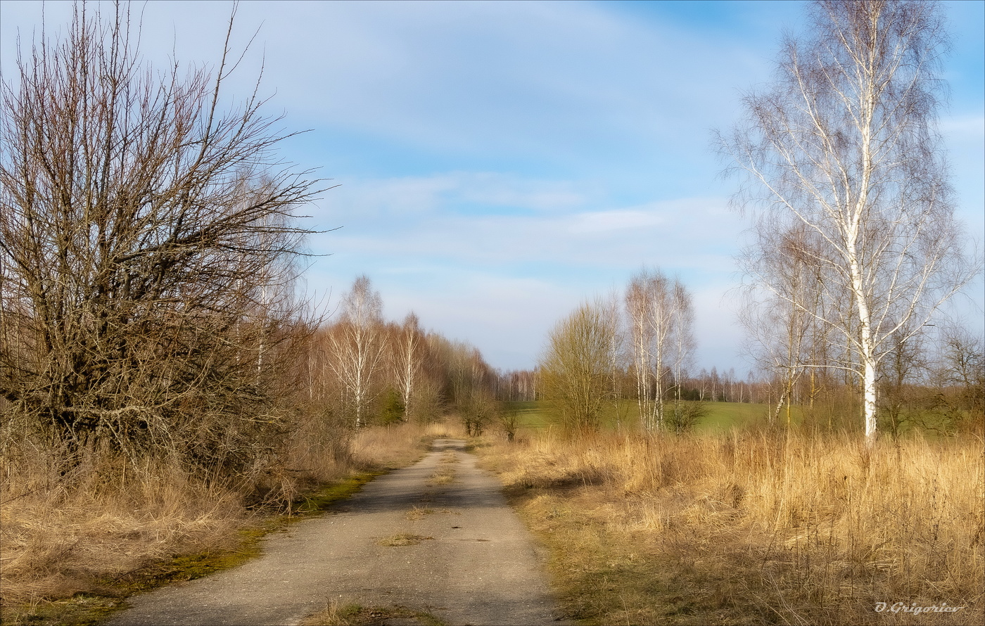 ОДИНОКАЯ ВЕСНА