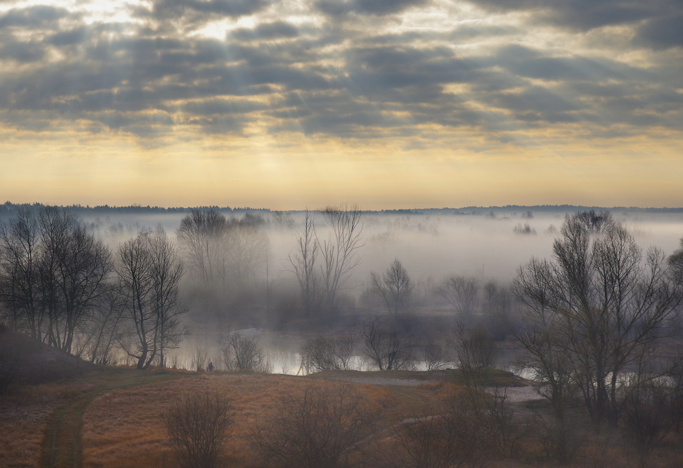 Весеннее утро