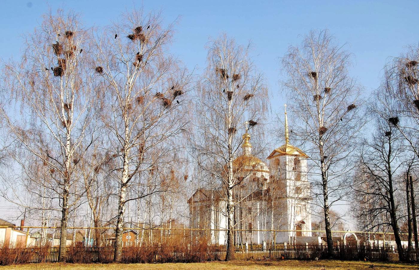 Идет строительство....