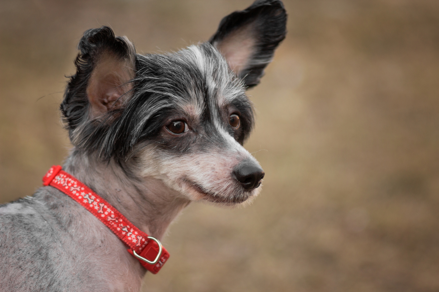 "Портрет с мероприятия"