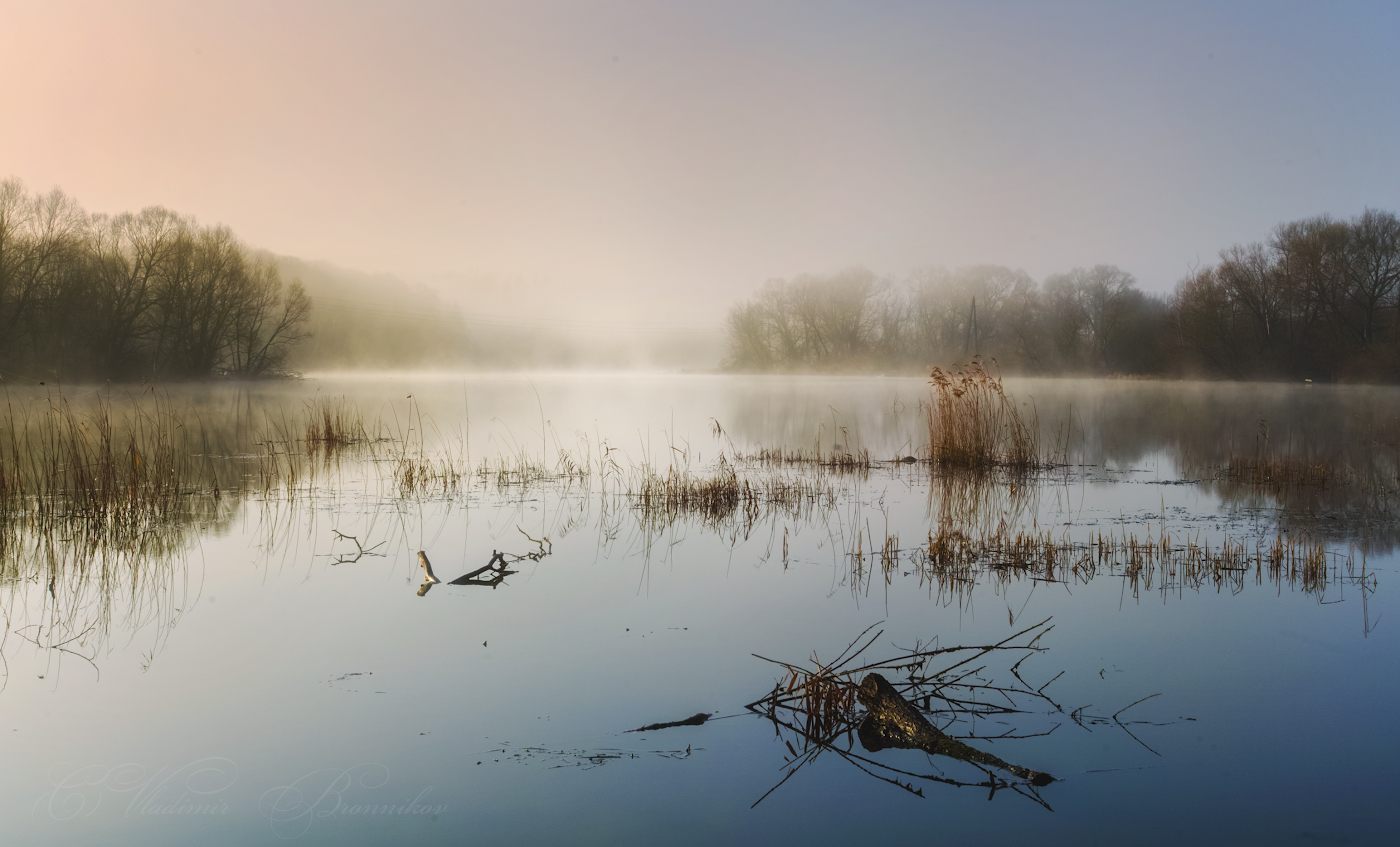 Весенним утром