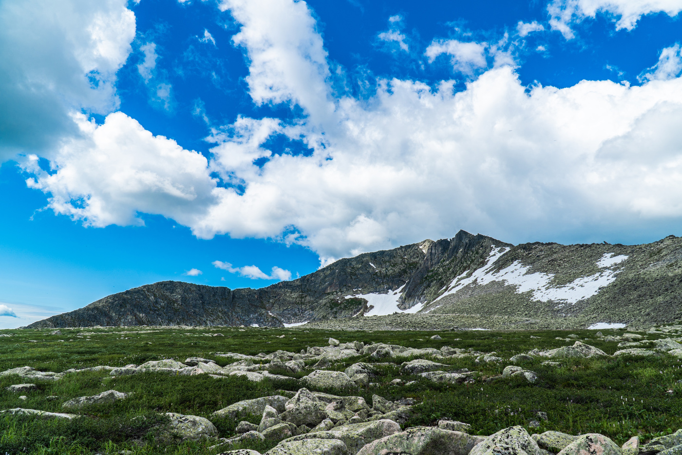 Поднебесные зубья