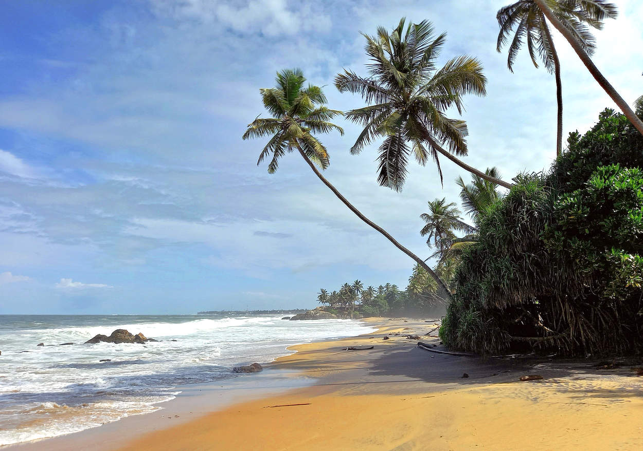 Пальмовый берег