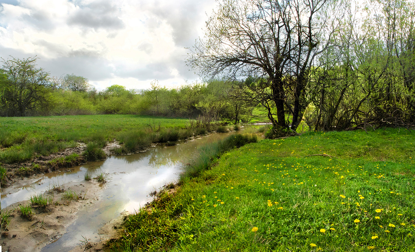 Картинка из весны