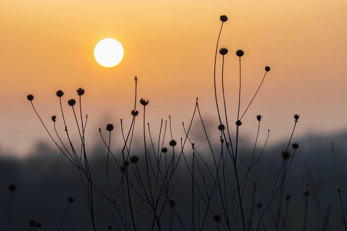 Доброе утро