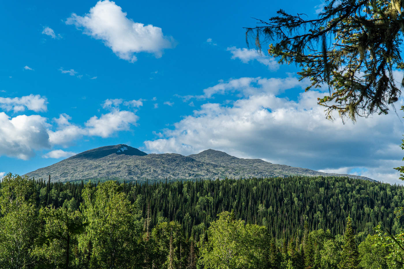 Поднебесные зубья