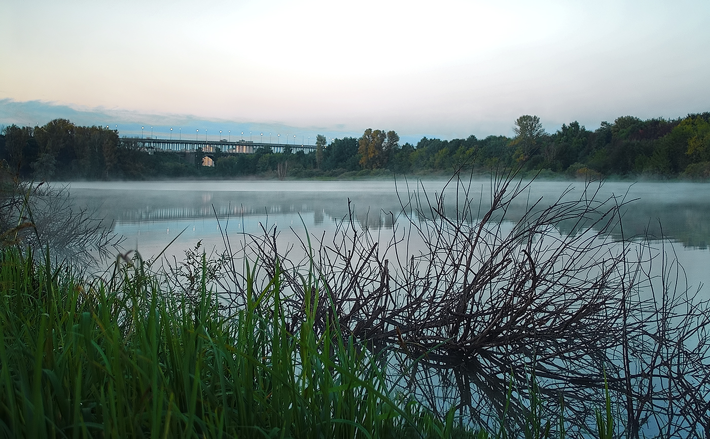 Предрассветный туман.