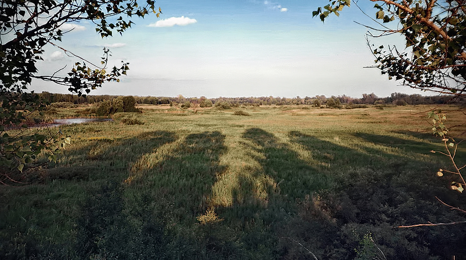Тени исчезают в полдень.