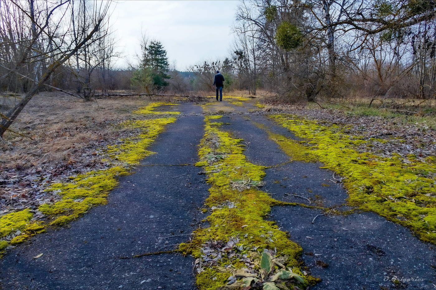 В ПРОШЛОЕ ВЕРНУТЬСЯ...