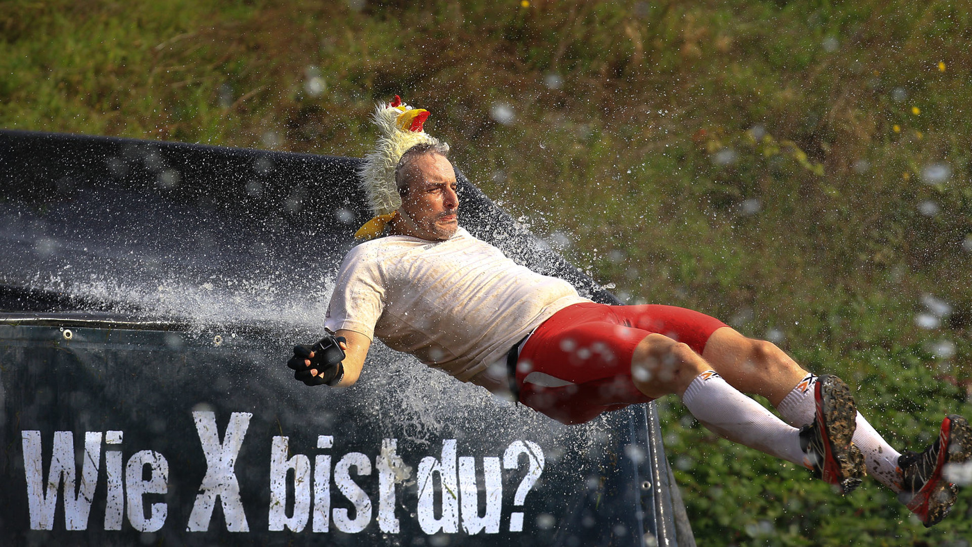 залётный гусь