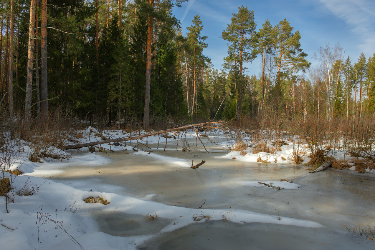 Начало марта. р. Суходол