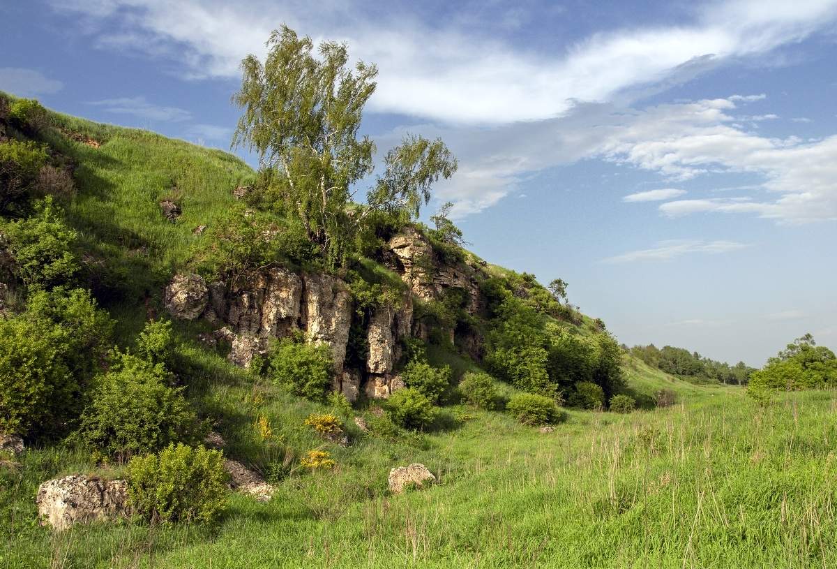 Щучье урочище.