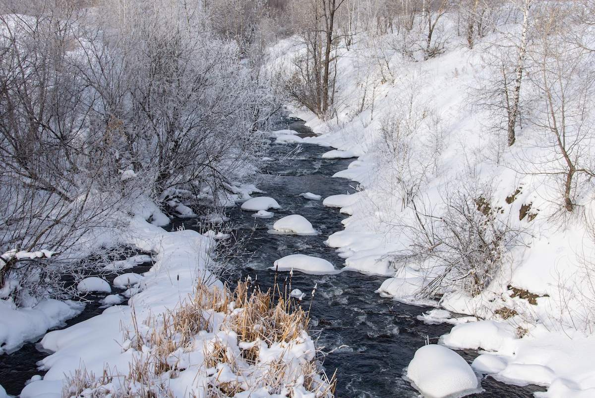 Зима не хочет уходить