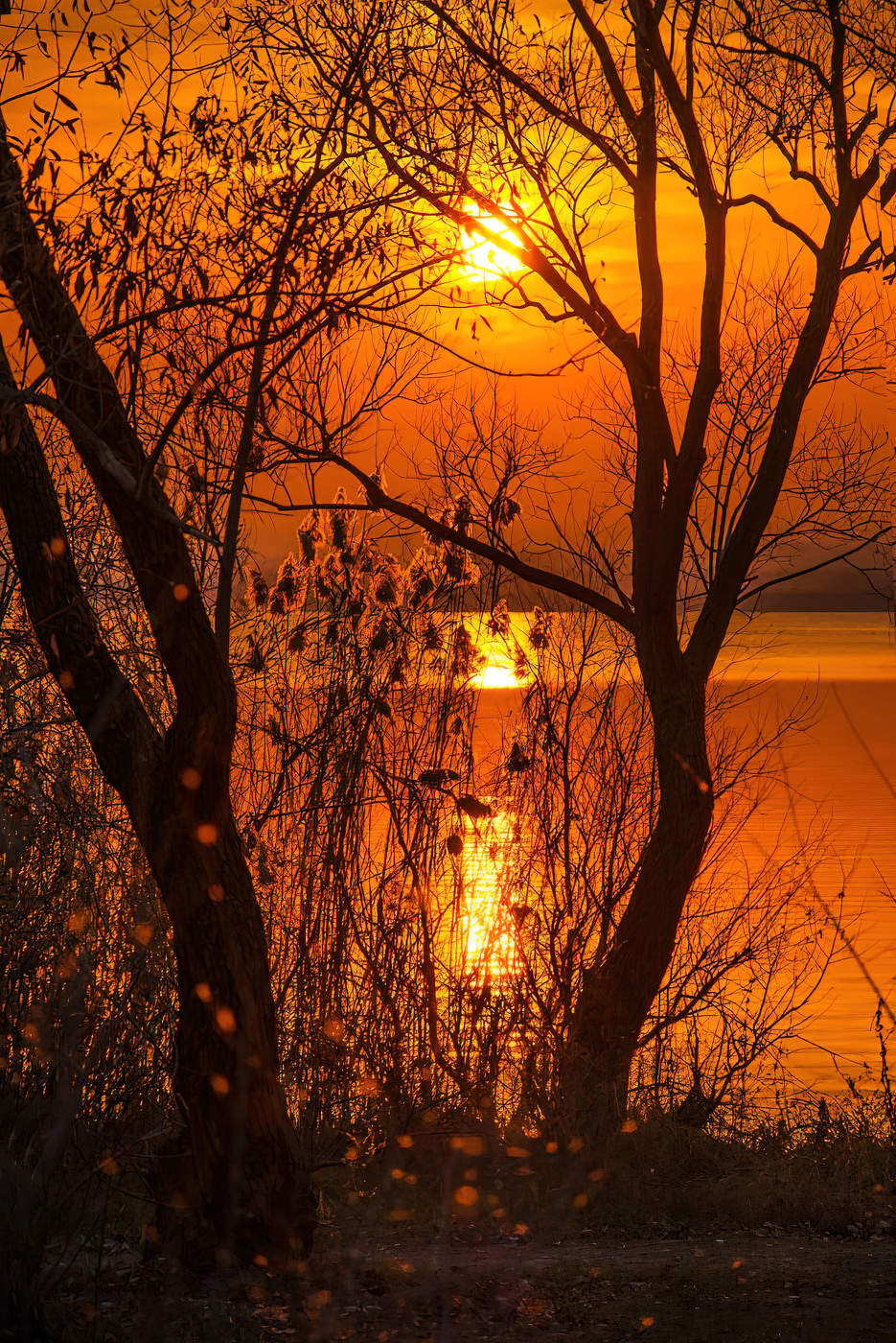 Шумел камыш...