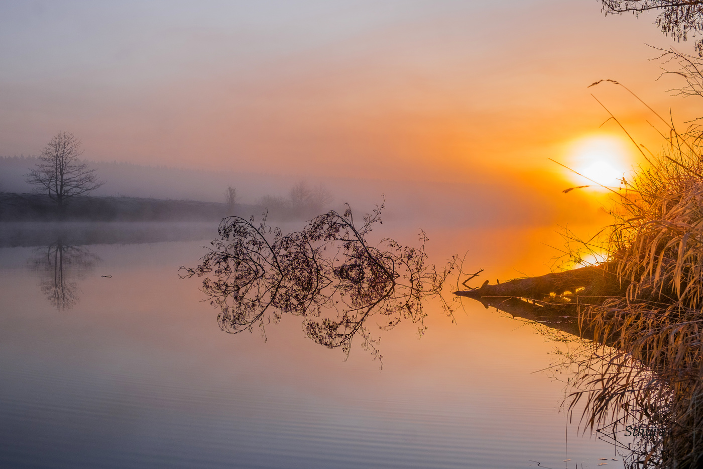 Весенний рассвет.