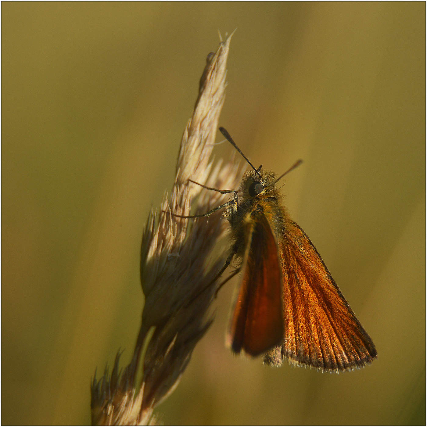 Теплое утро.