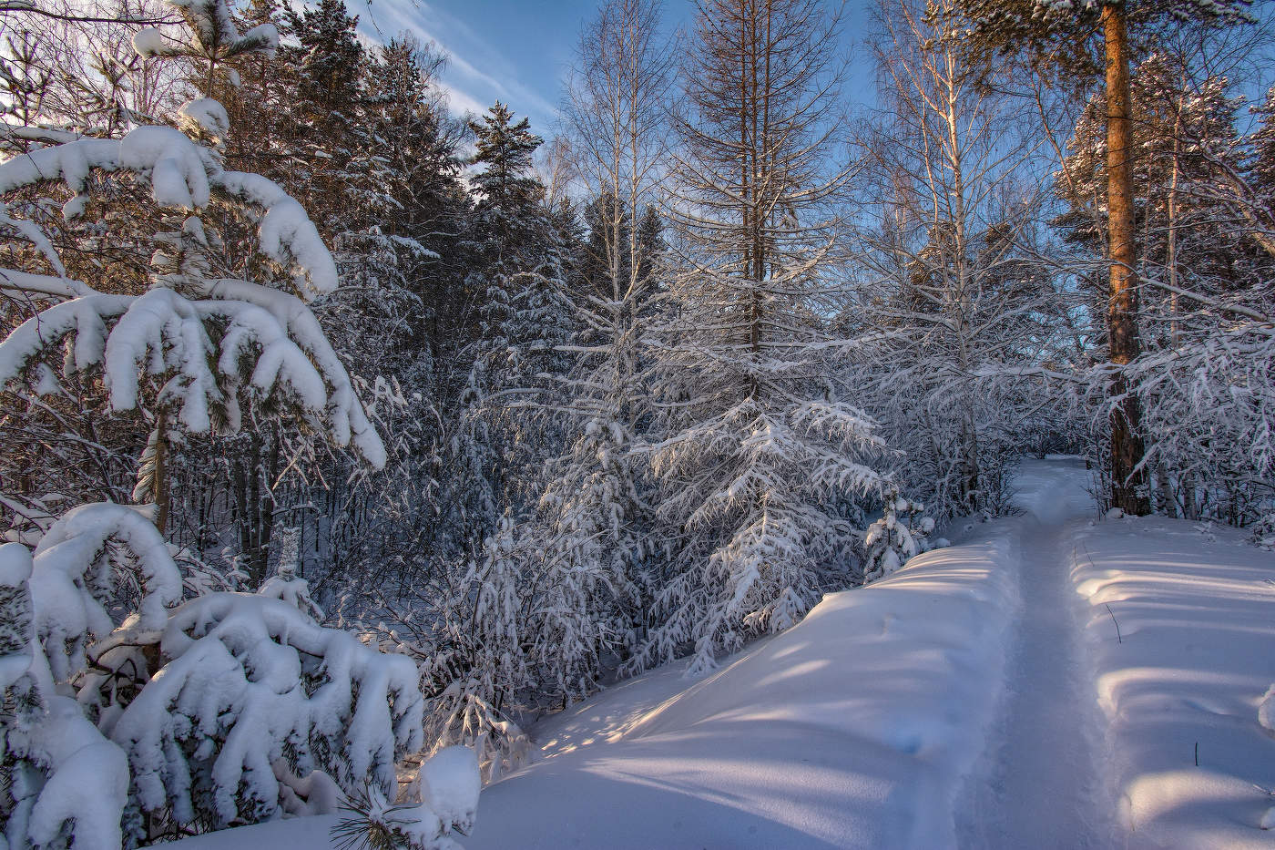 Зимняя тропа